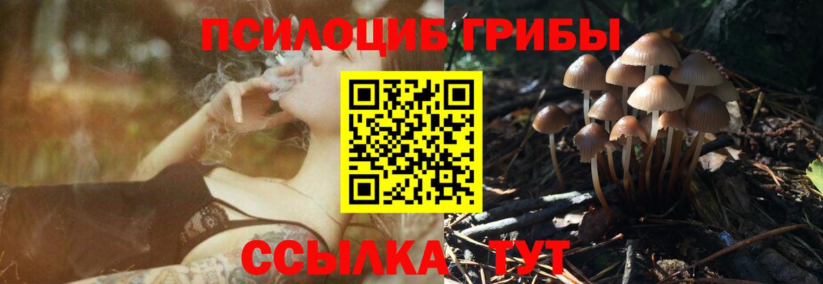 Галлюциногенные грибы GOLDEN TEACHER  Вход с VPN  Кудрово  Галлюциногенные грибы GOLDEN TEACHER 