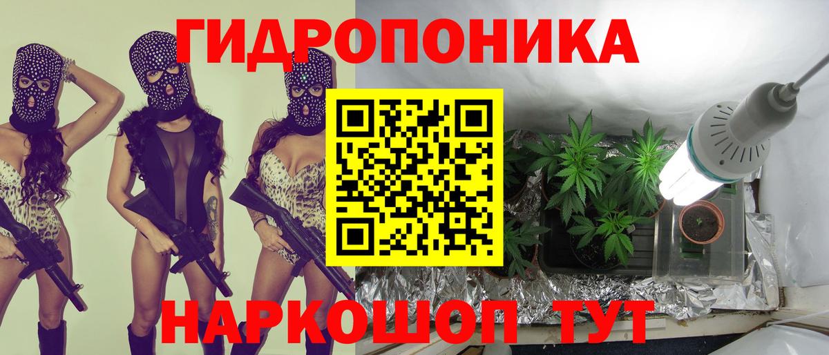 Шишки марихуана план Кудрово